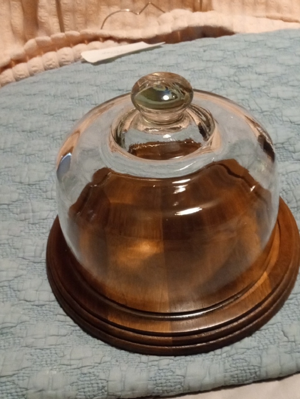 Source Unknown Glass Cloche with Brown Wood Base